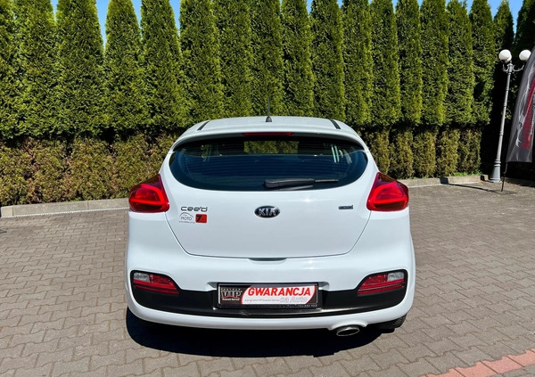 Kia Ceed cena 25900 przebieg: 216281, rok produkcji 2013 z Recz małe 704